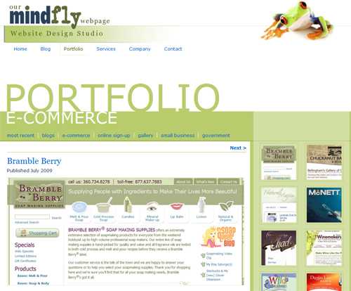 Mindfly